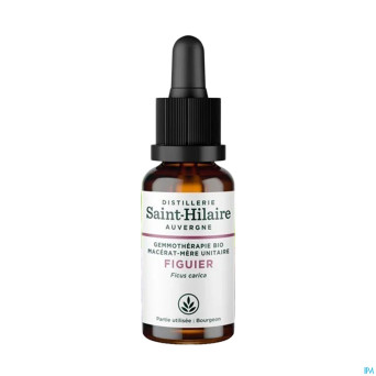 Figuier    glyc.mac 30ml