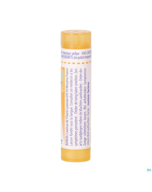 Thyroidinum    15ch gr 4g boiron