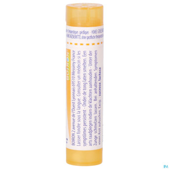 Thyroidinum    15ch gr 4g boiron