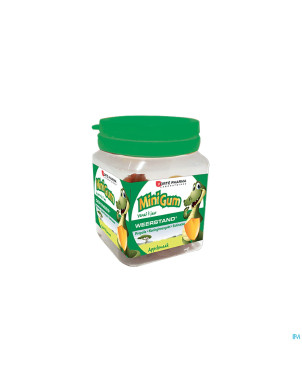 Minigum defenses    gomme  50