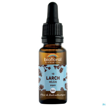 Biofloral fleurs de bach 19 larch meleze bio  20ml