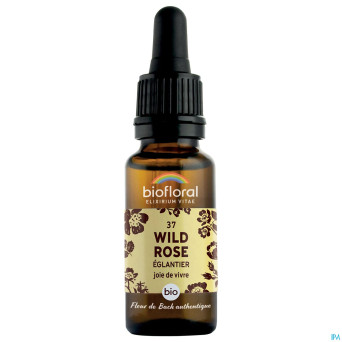 Biofloral fleurs de bach 37 wild rose bio    20ml