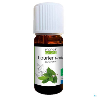 Laurier noble huile ess 10ml