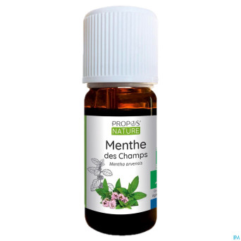 Menthe des champs huile ess 10ml