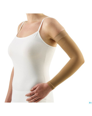 Bota tovarix 20/ii bas bras bh    small