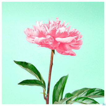 Jowae eau micellaire demaquillant    fl 200ml