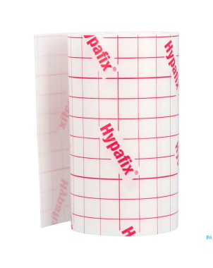 Hypafix 10cmx2m 1    leukoplast