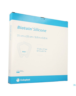 Biatain silicone adhesive ster 25,0x25,0cm 5 33405