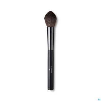 Dr.hauschka blusher brush