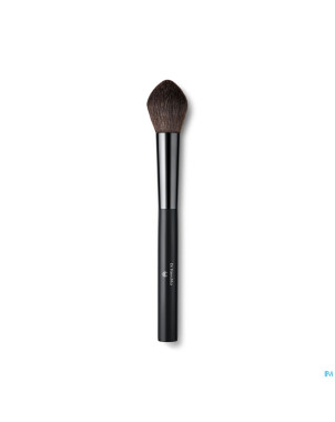 Dr.hauschka blusher brush