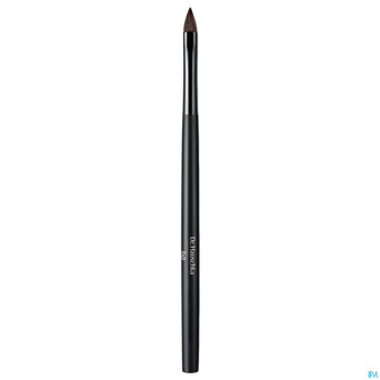 Dr.hauschka lip brush