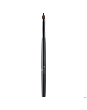 Dr.hauschka lip brush