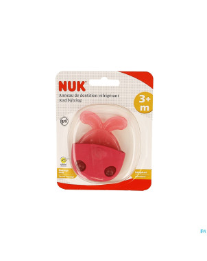Nuk anneauntition refrigerant lapin