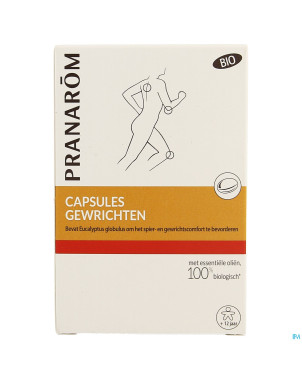 Articulations    caps molle  30