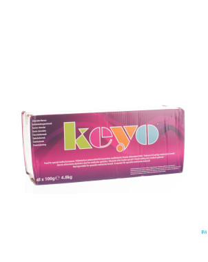 Keyo pudding chocolat    48x100g