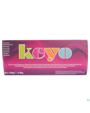 Keyo pudding chocolat    48x100g