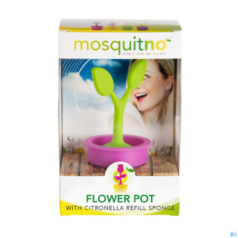 Mosquitno pot fleurs citronelle
