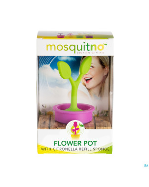 Mosquitno pot fleurs citronelle