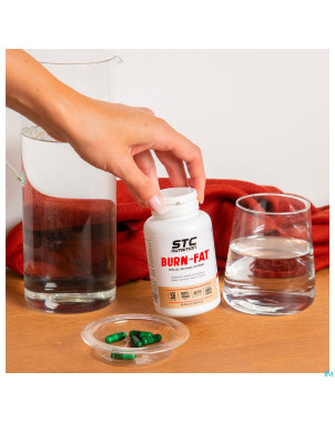 Stc nutrition burn fat    caps 120