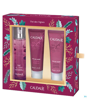 Caudalie coffret noel the vignes 2017