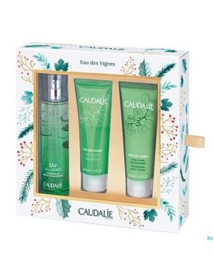 Caudalie coffret noel eau vignes 2017