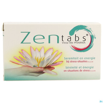 Vista zentabs comp 30