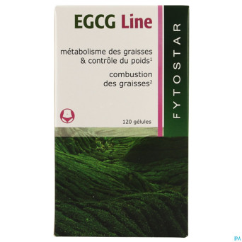 Fytostar egcg line maxi    caps 120