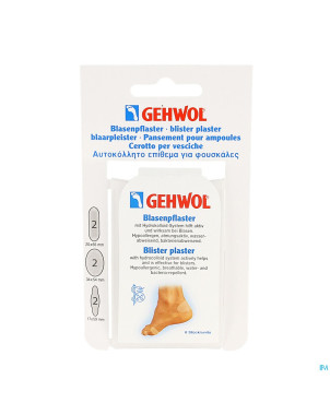 Gehwol pansement ampoule assorti 2x3 consulta