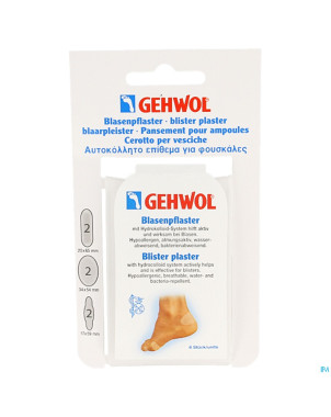 Gehwol pansement ampoule assorti 2x3 consulta