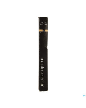 Les couleurs de noir pinceau eclat 022 moyen