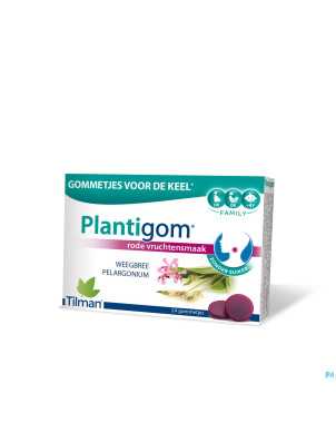 Plantigom    gommes 24