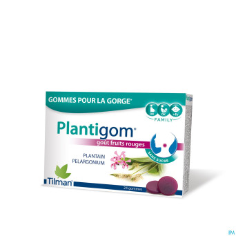 Plantigom    gommes 24