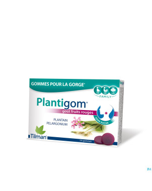Plantigom    gommes 24