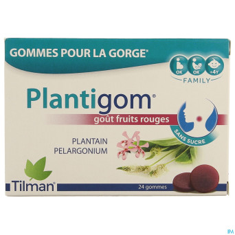 Plantigom    gommes 24