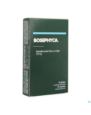 Bosephyca    caps 40