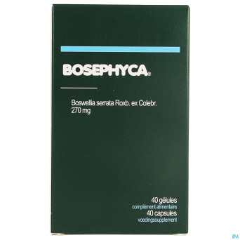 Bosephyca    caps 40