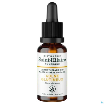 Aulne glutineux    glyc.mac. 30ml