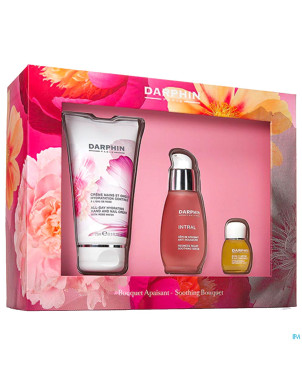 Darphin intral christmas set   fy19