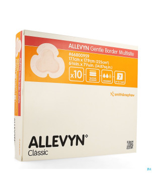 Allevyn ag pans adhesive silic. 17,5x17,5cm    10
