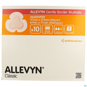 Allevyn ag pans adhesive silic. 17,5x17,5cm    10