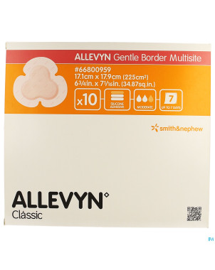 Allevyn ag pans adhesive silic. 17,5x17,5cm    10