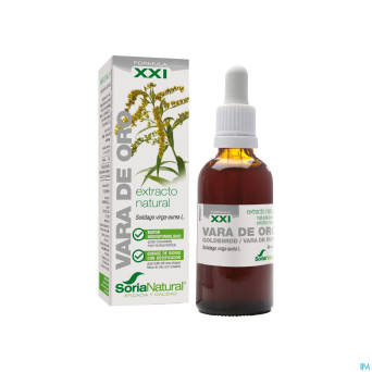 Soria solidago virga aurea xxi    extr.glyc 50ml