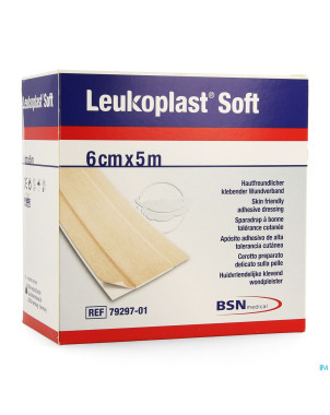 Leukoplast soft    5mx6cm 1