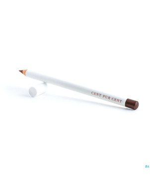 Cent pur cent crayon levres mineral plum nf