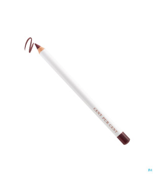 Cent pur cent crayon levres mineral plum nf