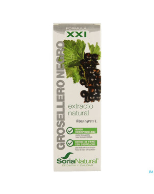 Soria ribes nigrum xxi    extr.fl. 50ml