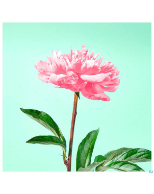 Jowae lait demaquillant apaisant    fl 400ml