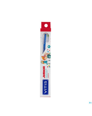 Vitis junior brosse dents
