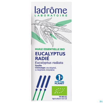 Mannavita huile ess. eucalyptus radiata 10ml