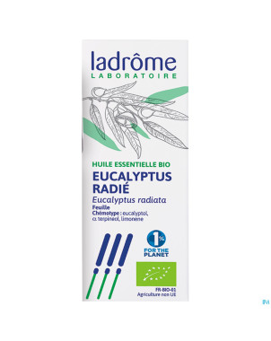 Mannavita huile ess. eucalyptus radiata 10ml
